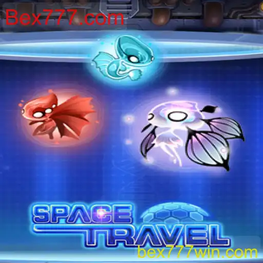 SpaceTravel